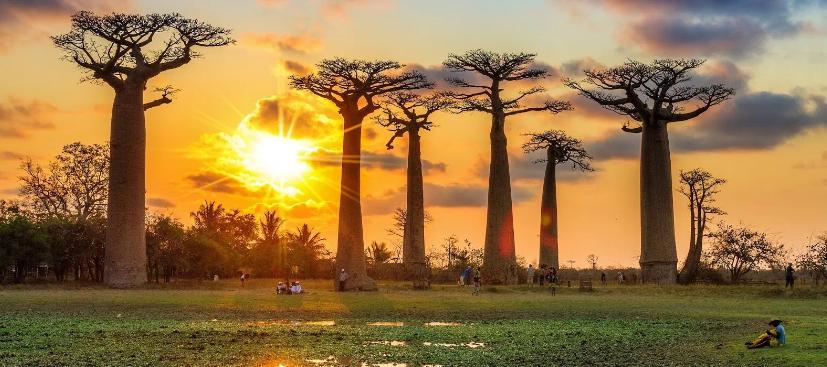 馬達(dá)加斯加旅行攻略