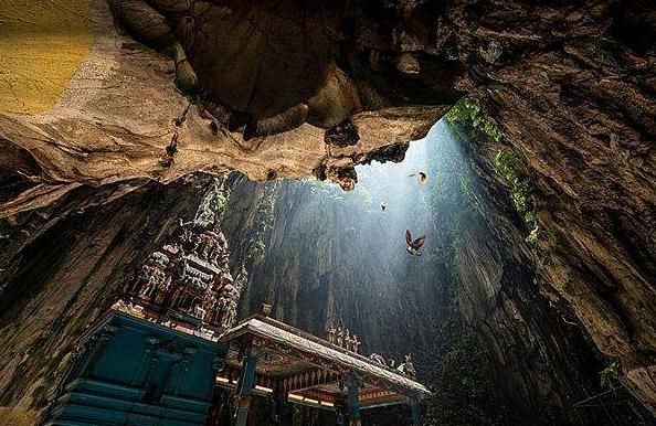 旅行轉換器廠家