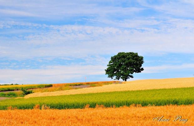 北海道轉換插座