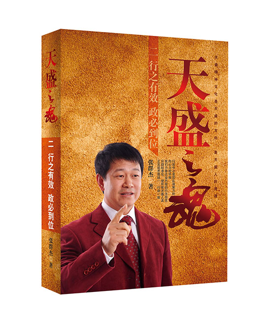 《天盛之魂2》 行之有效 政必到位