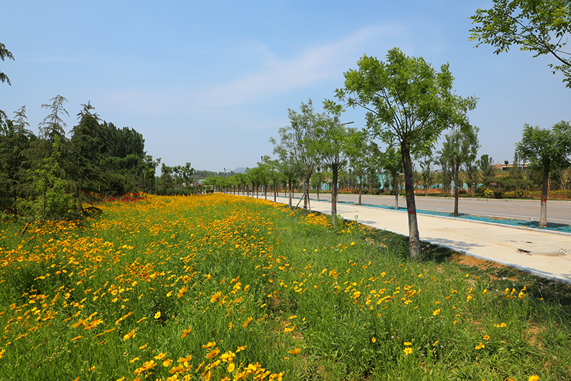尼山花溪