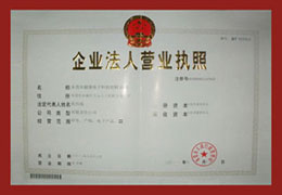 企业法人营业执照
