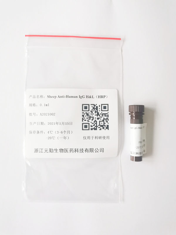 Sheep Anti-Human IgG H&L(HRP)