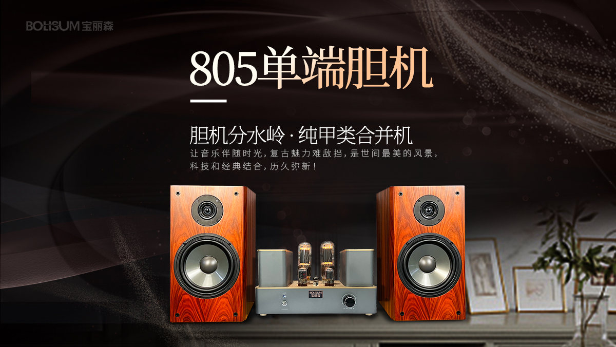 宝丽森音响,805胆机,胆机代理,300b胆机,电子管功放,胆机招商,胆机厂家,胆机,胆机功放,胆机音响