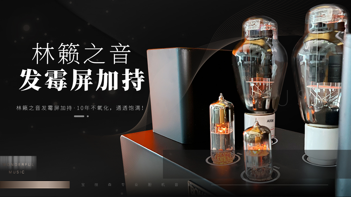 音箱,音响,音响设备,胆机音响,胆机,胆机音箱,胆机厂家,音箱厂家,胆机品牌,胆机价格,胆机功放,胆机代理,电子管功放