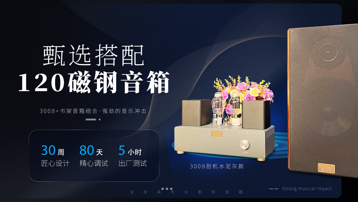 胆机,胆机厂家,胆机代理,胆机加盟,胆机音响,音响设备,音箱,音箱厂家,300b胆机