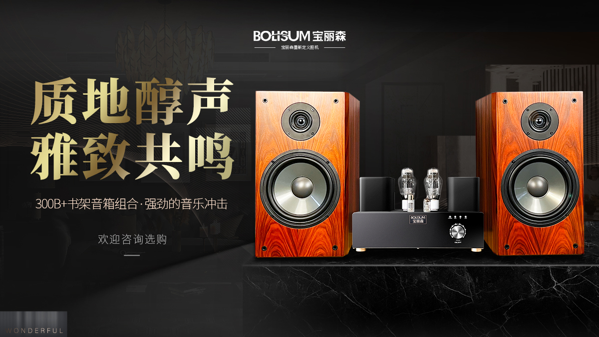 宝丽森音响,胆机,电子管功放,音箱,音响设置,音响,胆机厂家,胆机代理,胆机加盟