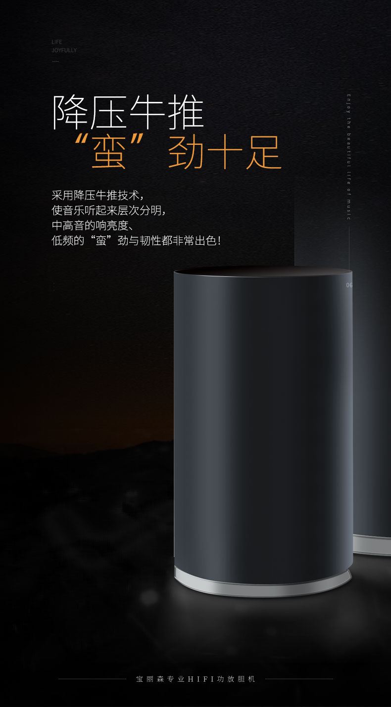 宝丽森胆机,胆机,7092胆机,胆机招商,胆机代理,300b胆机,胆机厂家,胆机功放,音响,hifi音响,电子管功放
