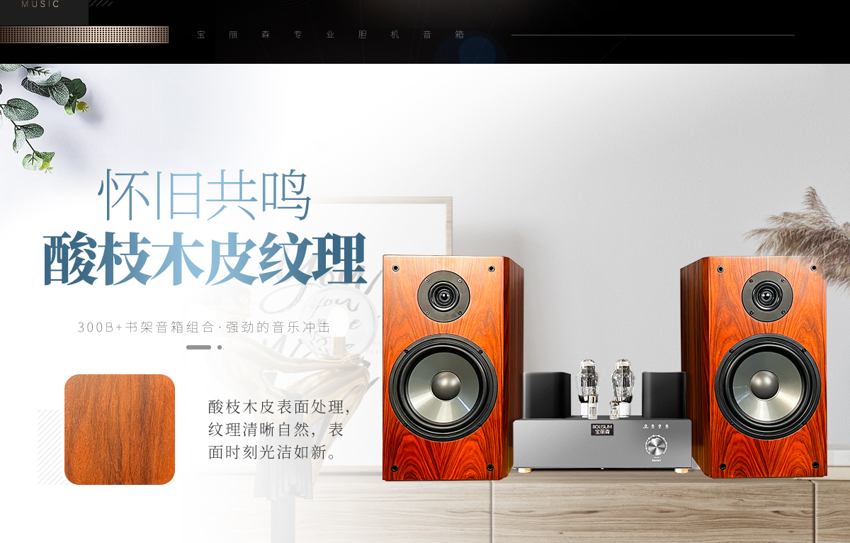 胆机,胆机功放,胆机音响,300b胆机,805胆机,833胆机,7092胆机,胆机加盟,胆机代理,胆机招商,胆机品牌,胆机厂家