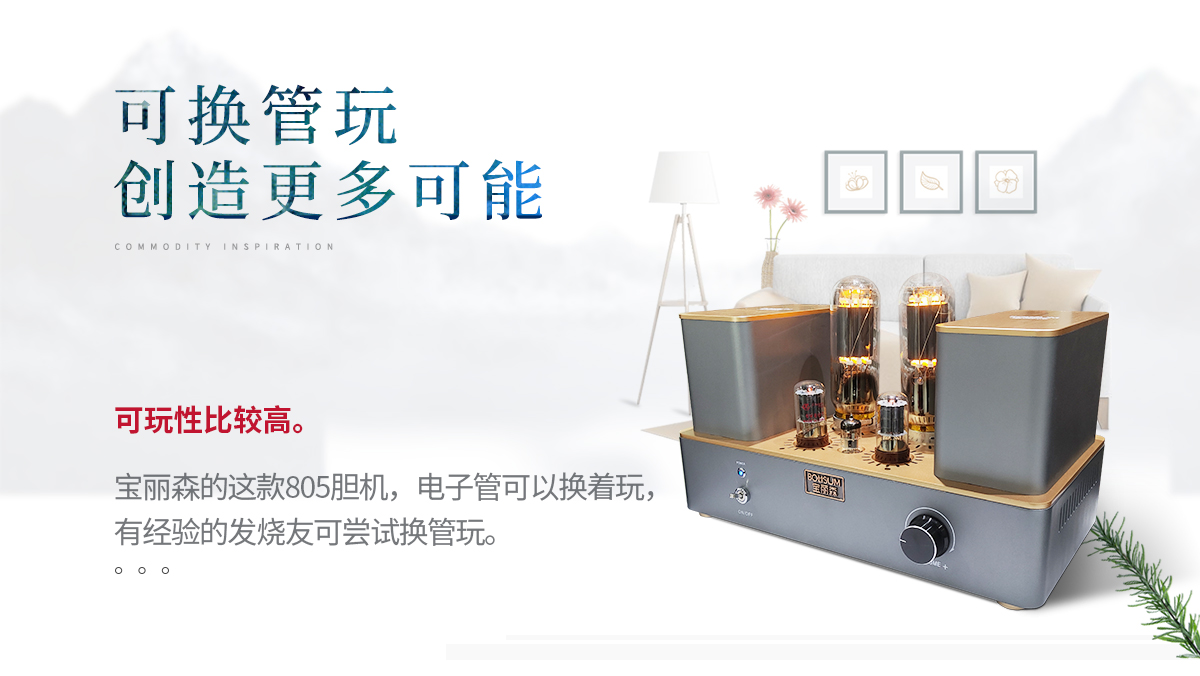 宝丽森音响,805胆机,胆机代理,300b胆机,电子管功放,胆机招商,胆机厂家,胆机功放,hifi音响,胆机,胆机品牌,胆机价格