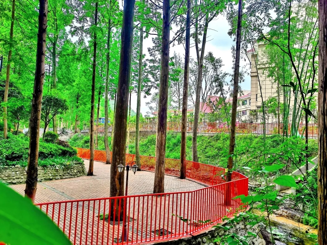 “森呼吸·慢时光·养身心”2天1夜康养旅居  崇州市花果山寿康康养中心