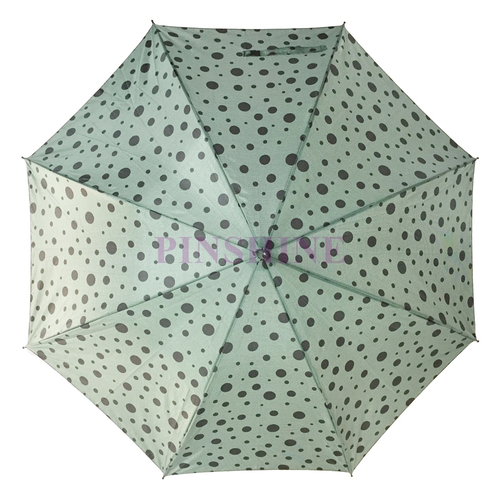 CP082