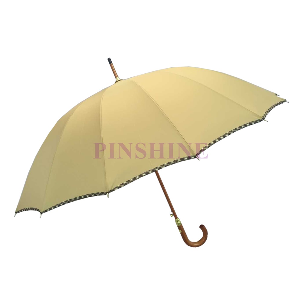 CP093