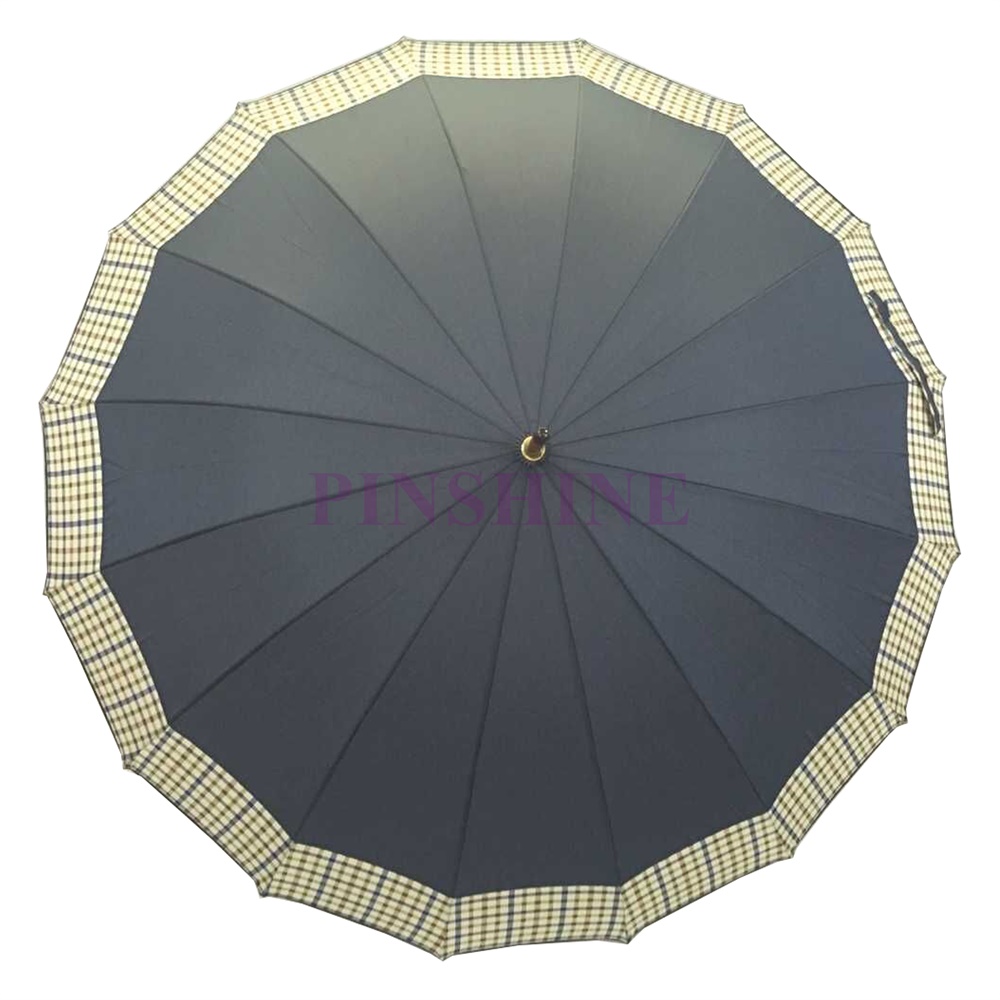 CP094