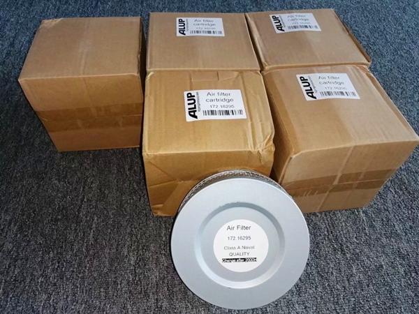 172.16295 Air filter cartridge