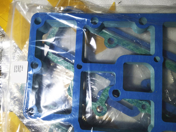 SAUER WP200 GASKET 067739