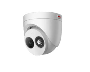 D3050-10-I-P(2.8mm) 1T 500万AI红外半球型摄像机