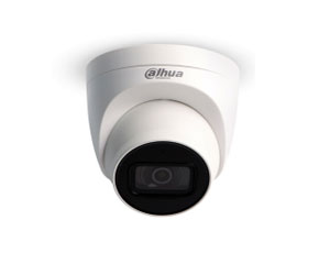 大华 人车检测网络摄像机