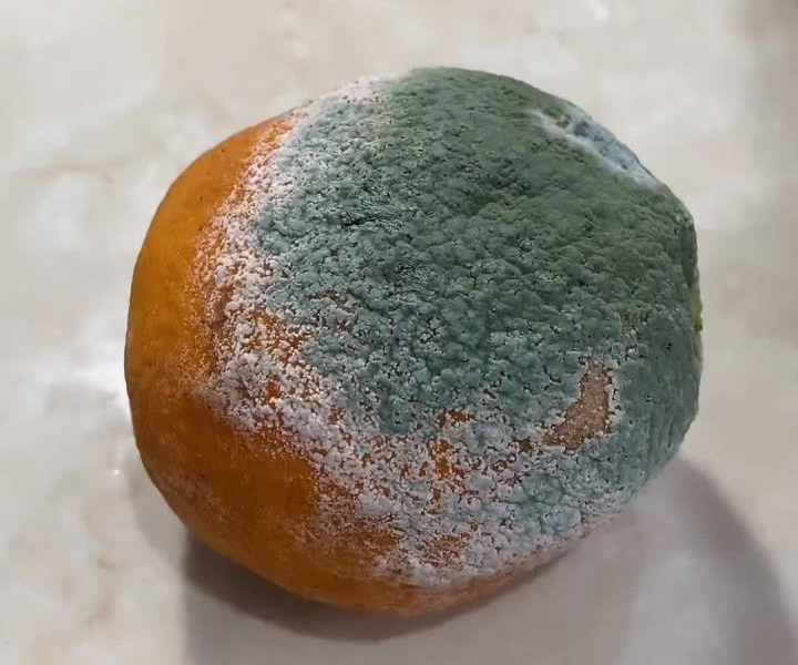 三唑类杀菌剂新星：carmeconazole