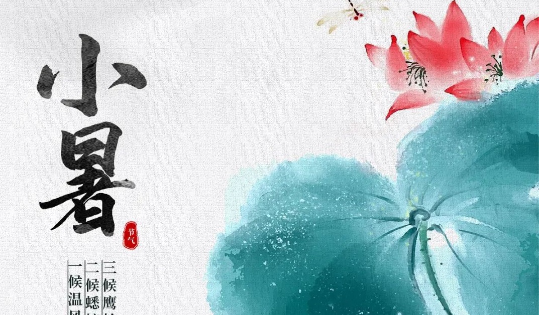 节气丨小暑：鸟语竹阴密，雨声荷叶香