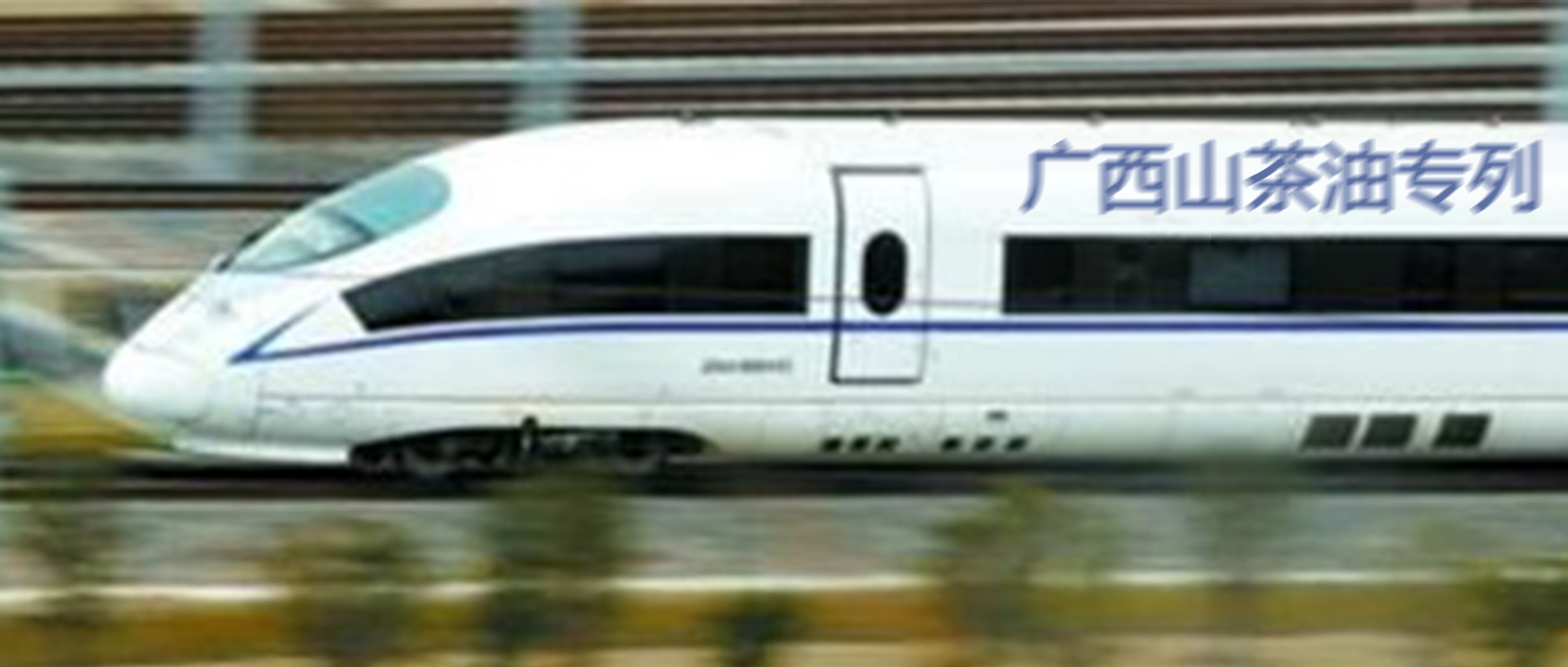 “香花山茶油”搭乘“广西山茶油品牌专列”一路向前、迈进新时代