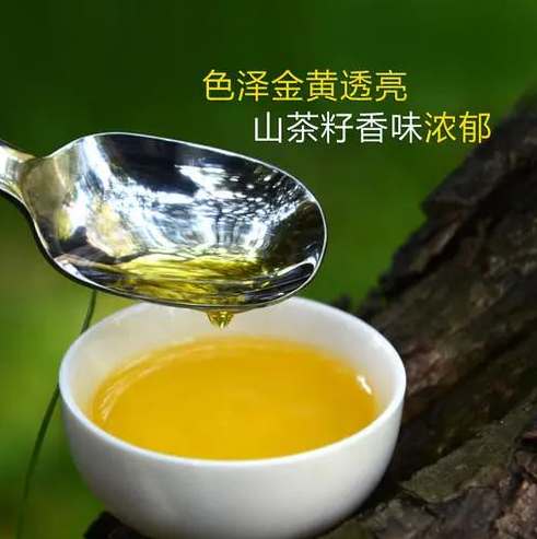 茶油资讯|2021年中国茶油行业市场现状与贸易趋势分析