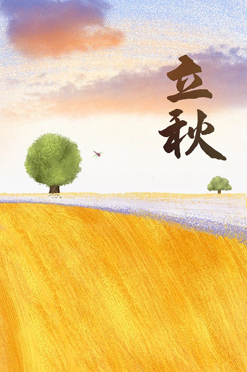 节气立秋|睡起秋声无觅处，满阶梧叶月明中