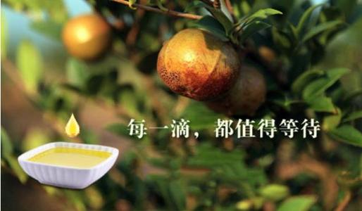 【茶油资讯】2021年中国茶油行业市场现状及发展趋势分析