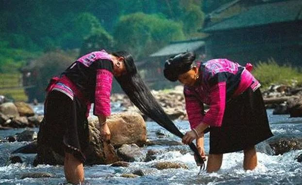 东方独有的护发秘籍——茶麸