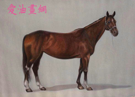 个人定制