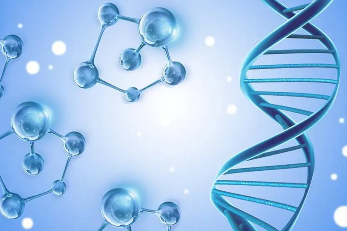 雙酚S的作用有哪些