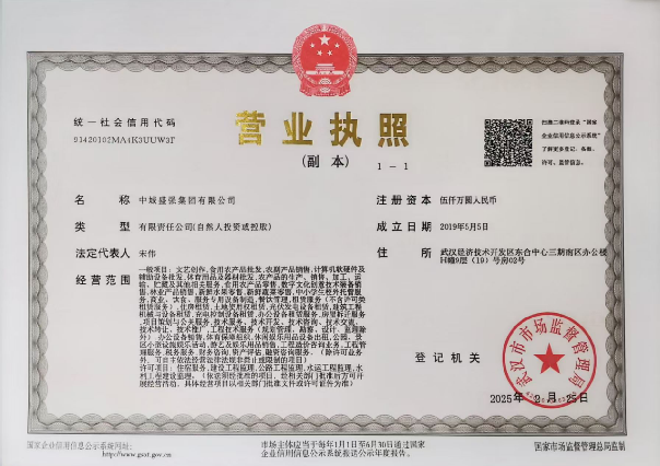 中城盛强集团有限公司营业执照