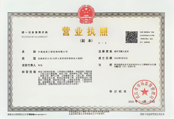 中城盛强工程咨询有限公司营业执照