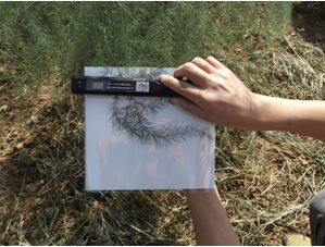 ECA-YM10叶面积分析系统