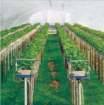 农业物联网在设施农业中的应用