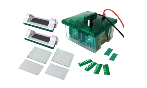 JY-Mini-P4型 垂直电泳槽