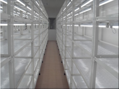 高节能培养架反光隔热板型（专用光谱灯 -I）