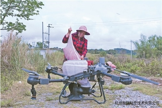 无人机播种日均300亩,无人机飞播水稻 效率提升40倍