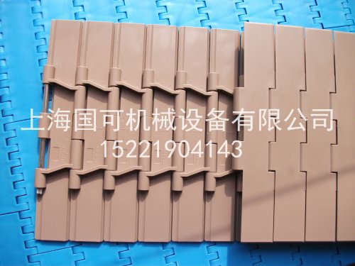 塑钢直输链板案例