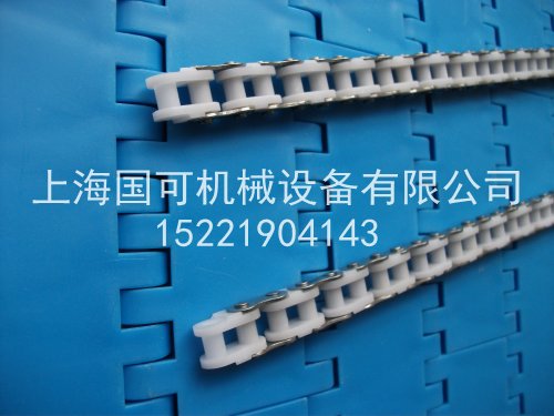 侧边不锈钢塑料链条案例