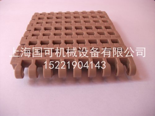 医药专用12.7塑料网带