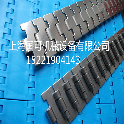 不锈钢直行链板