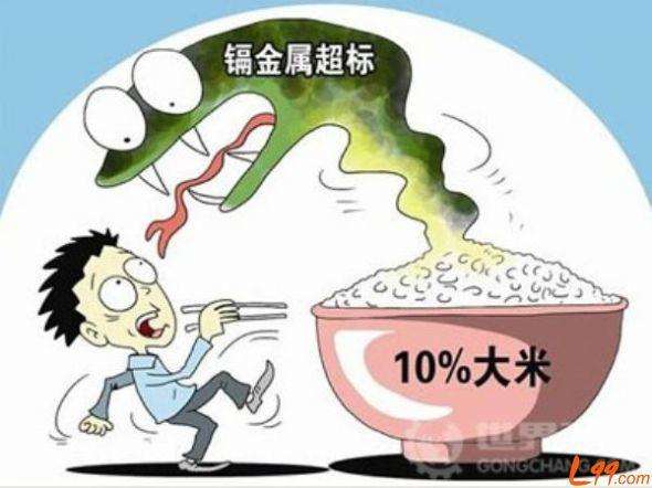 食品中污染物限量解读GB 2761-2017 & GB 2762-2017