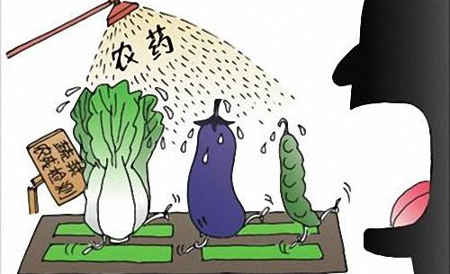 食品中农药残留的检测方法