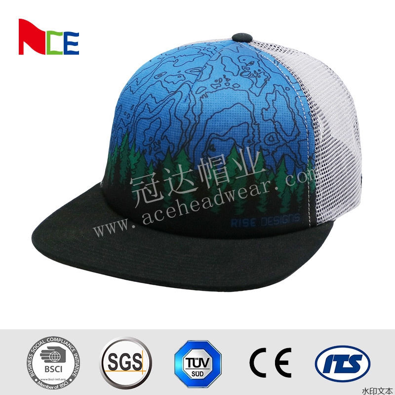 蓝色网帽平沿帽