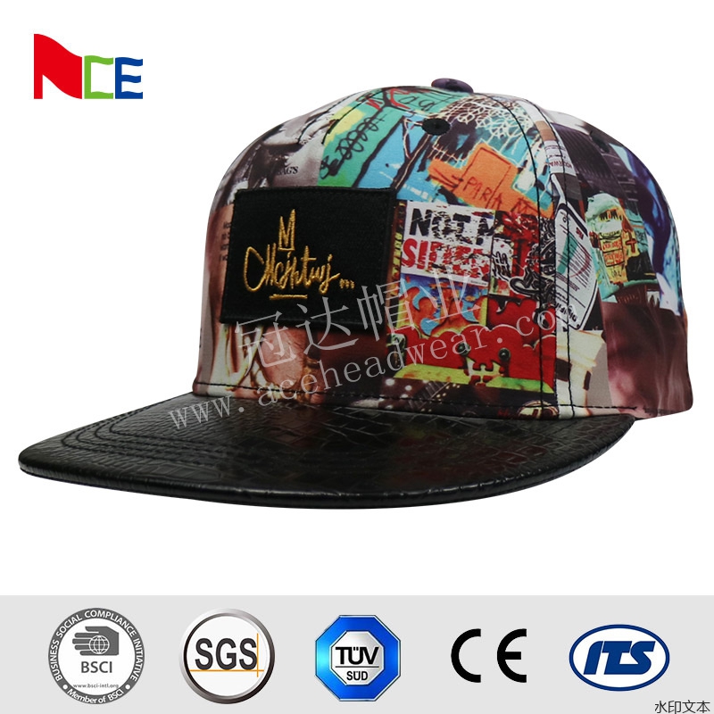 彩色贴布绣平沿帽