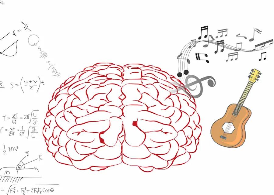 vector diagram of a human brain