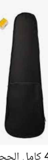 JASPB008 VIOLIN CASE