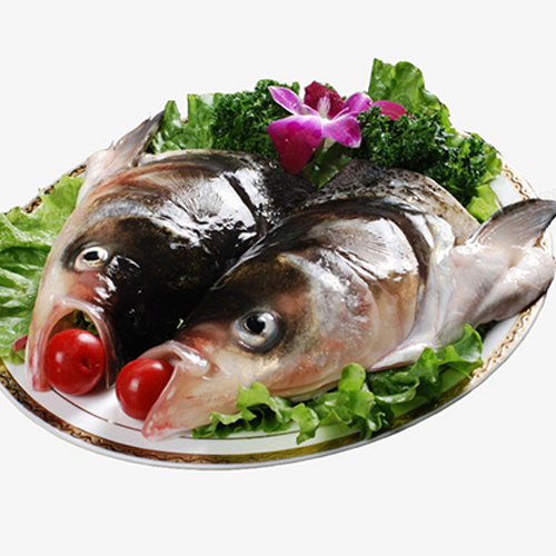 FISH HEAD