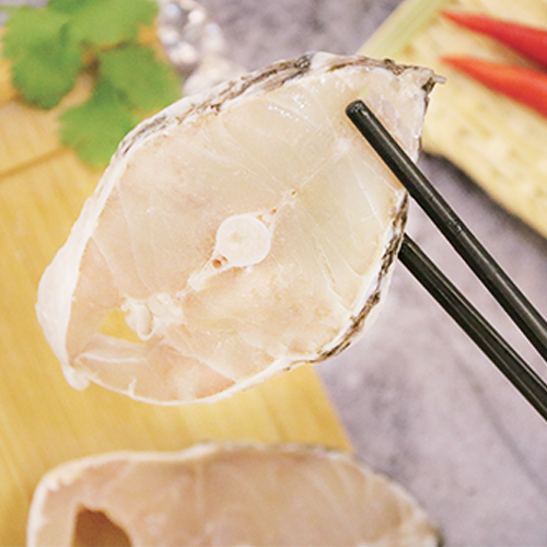 PIECES OF FISH